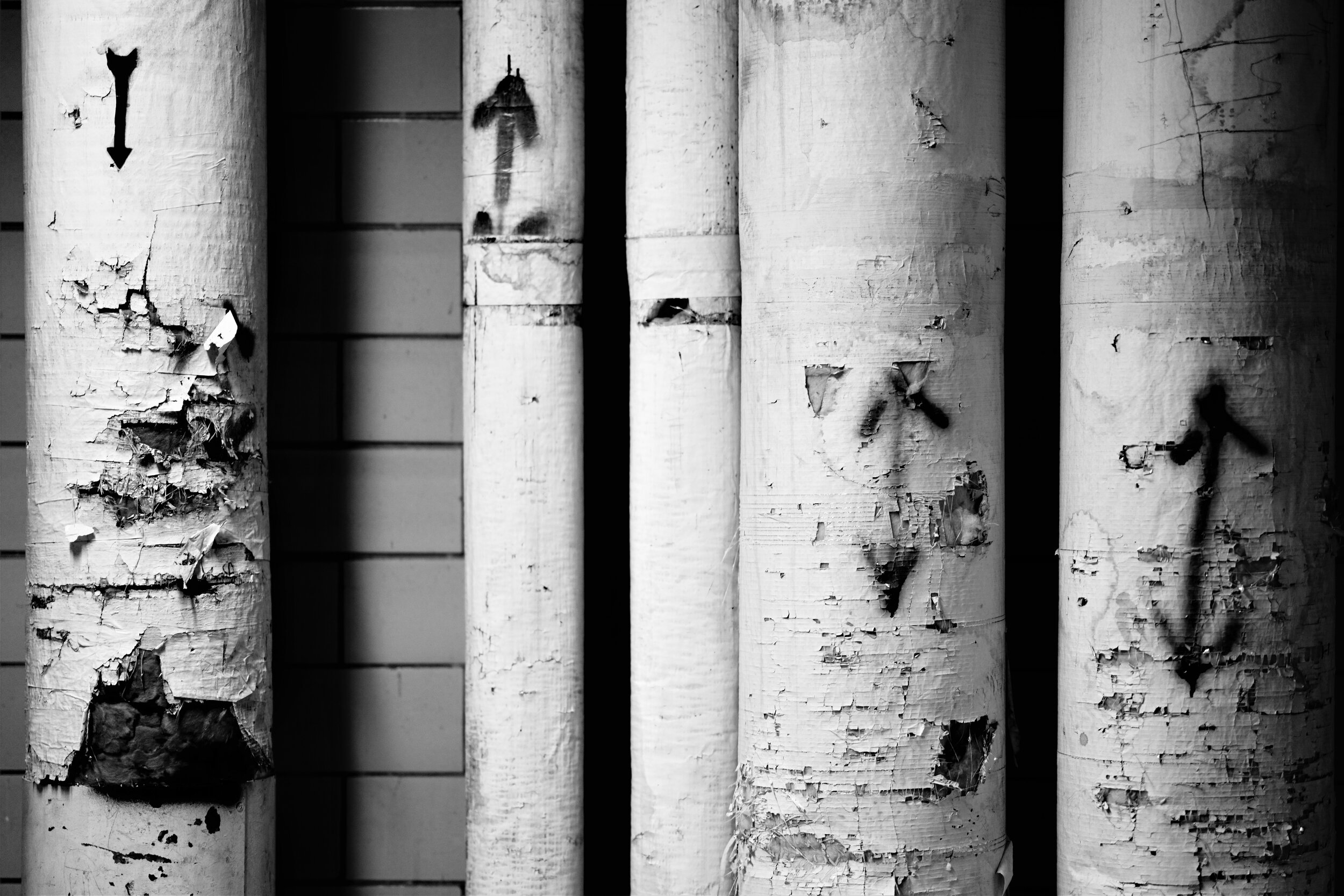 A7R01291v.jpg