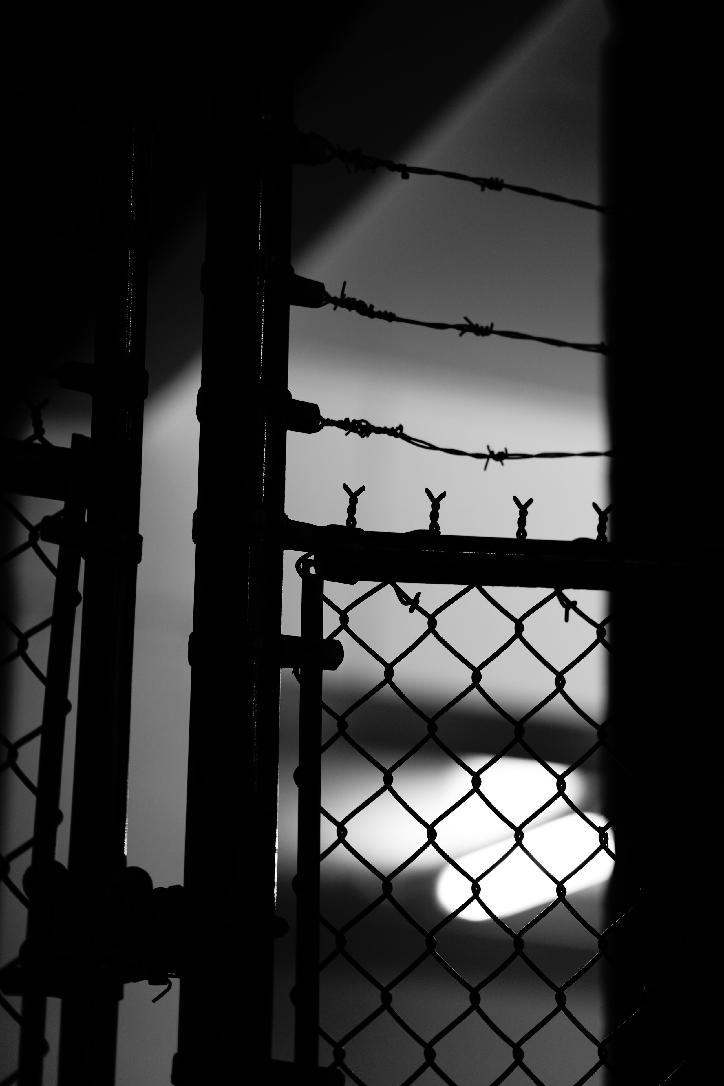 A7R03438V.jpg