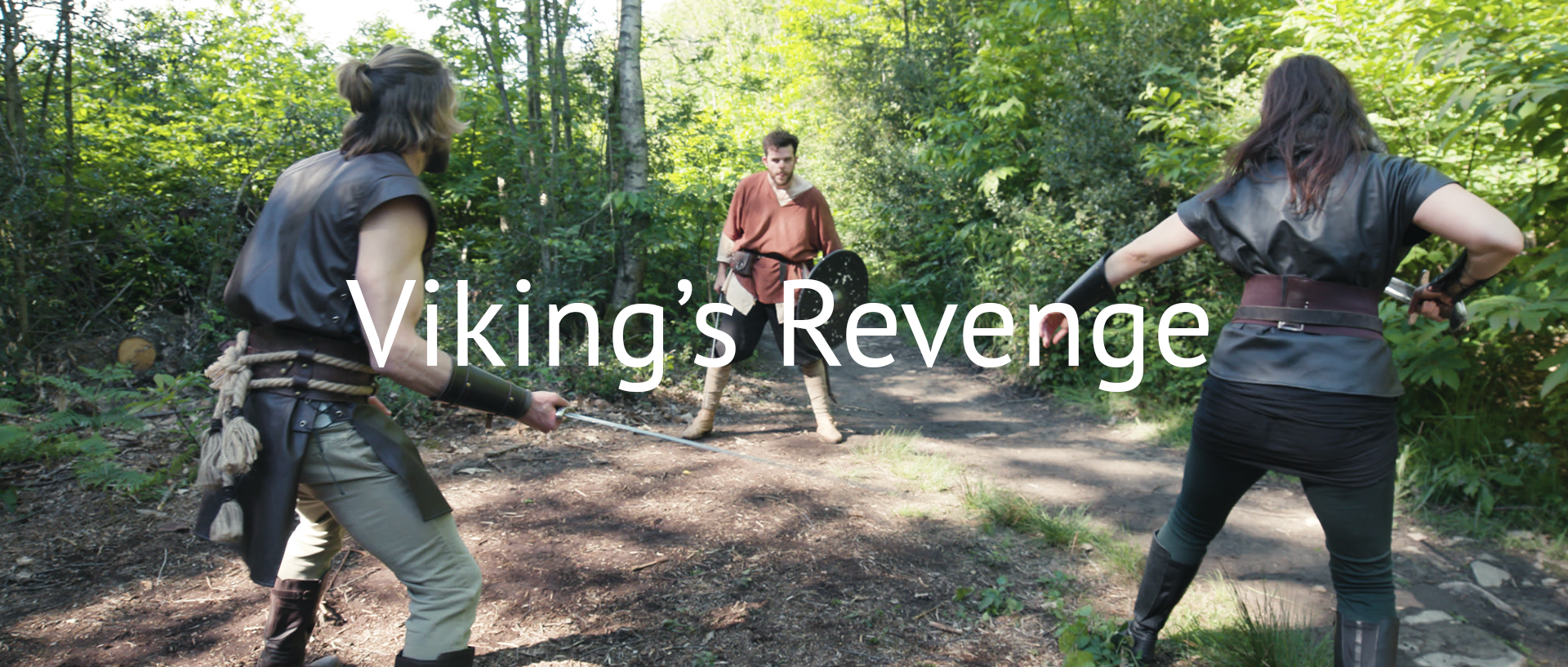 VikingsRev.png