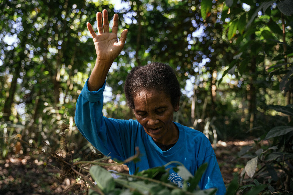  Lily De Guzman, an Aeta healer from Sitio Gayangan, prays over medicinal plants to be used for her sick grandchild. As one of the senior Aeta healers from her community, Nanay Lily is revered for her spirituality and vast herbal knowledge. 