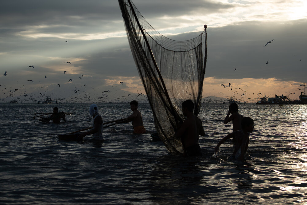  Fisherfolk gather krill as the sun sets. Others harvest what they can as they expect lean days ahead. According to a longtime resident, thousands of birds may be quite a sight, but is actually a bad omen to fisherfolk. The presence of these birds si