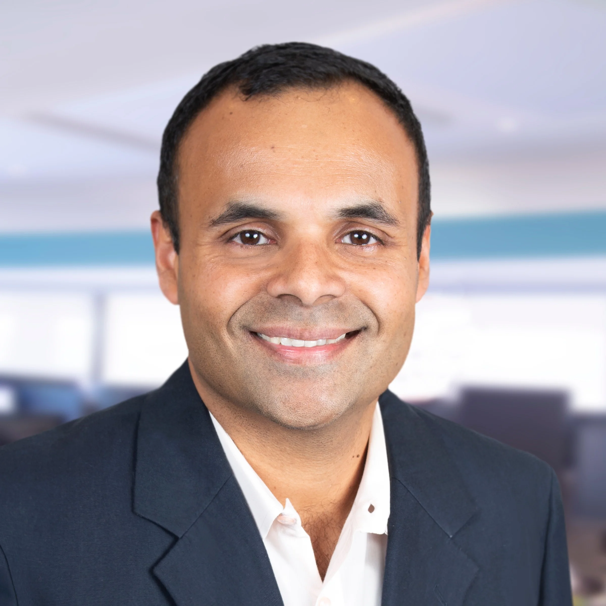 Manu Krishnan Senior Vice President, Portfolio Manager