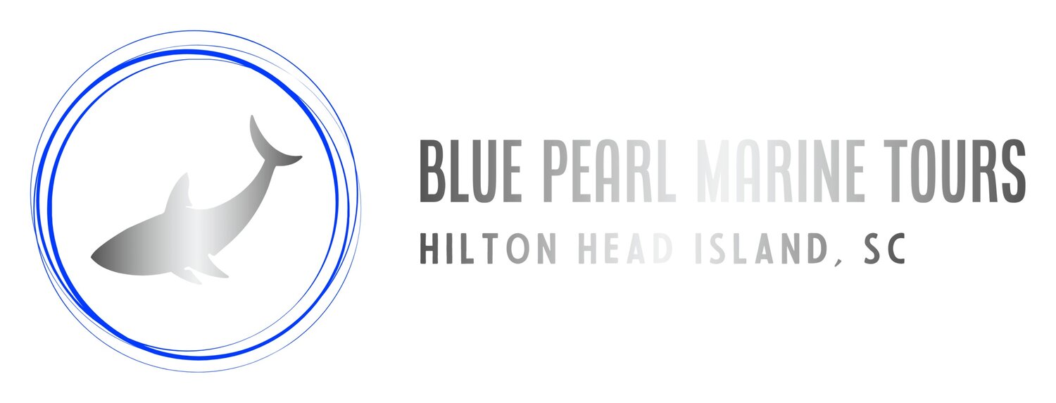 BLUE PEARL MARINE TOURS