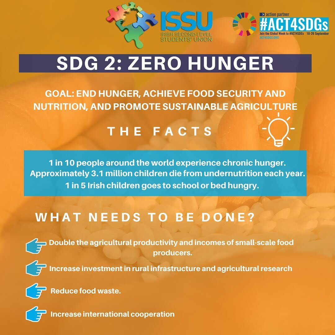 For Day 2 of SDG Action Week we will be covering SDG 2: Zero Hunger! This SDG focuses on reducing hunger, ensuring access to food for all, and reducing food waste. If you have any questions or comments, or would like to get involved with the ISSU and