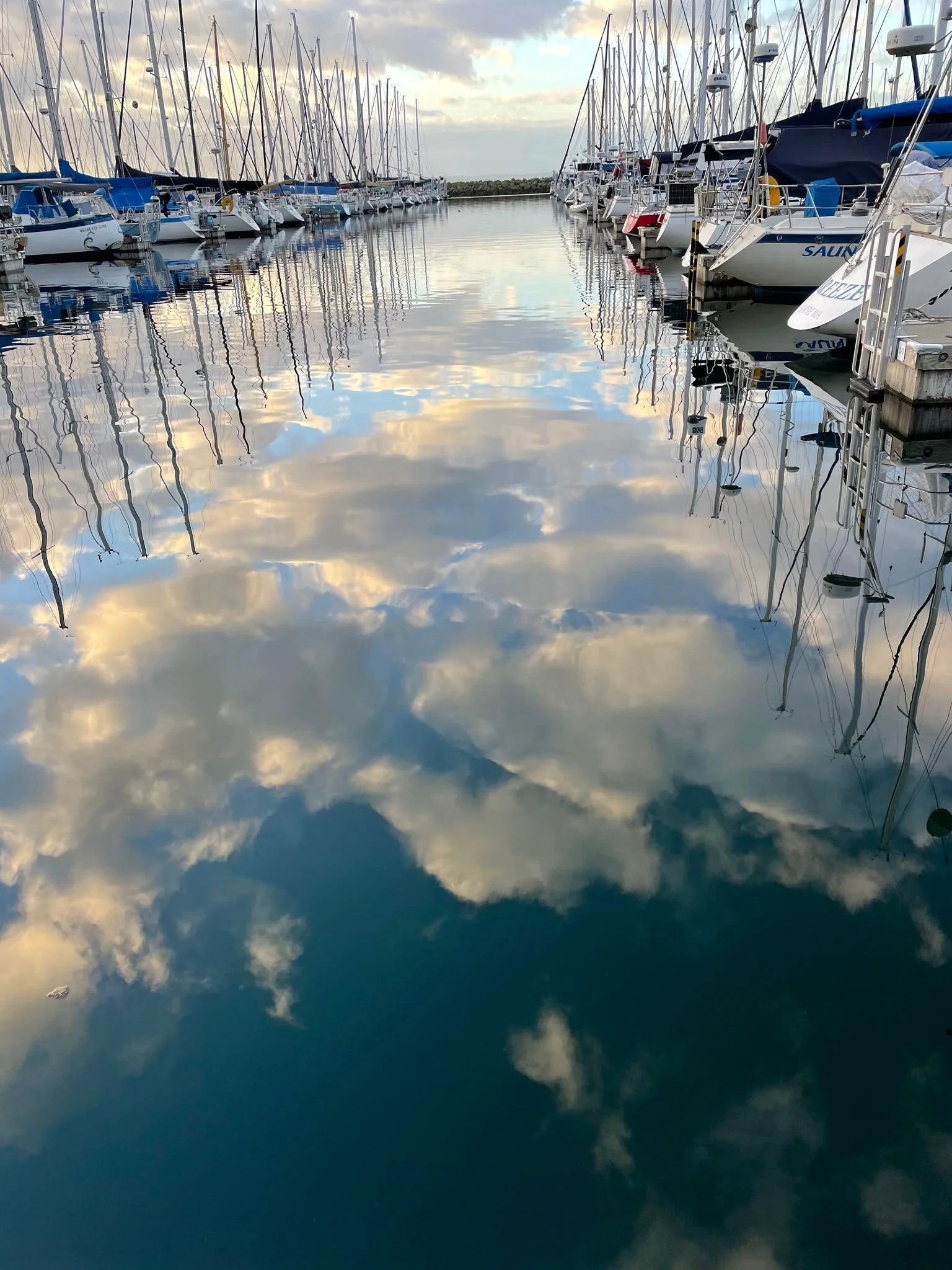 on finding joy, and choosing devotion