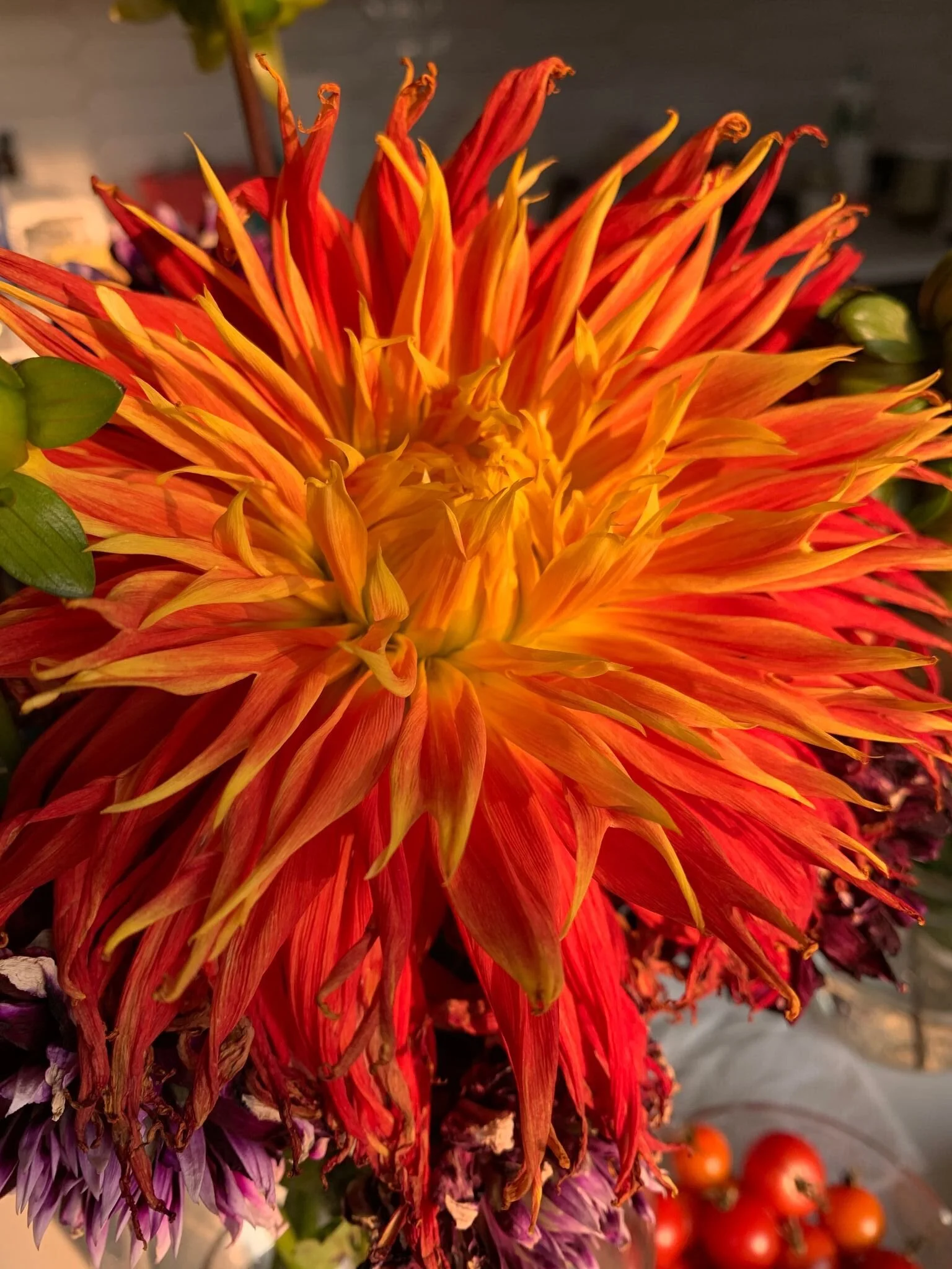 my heart has been traveling very close to the surface these days