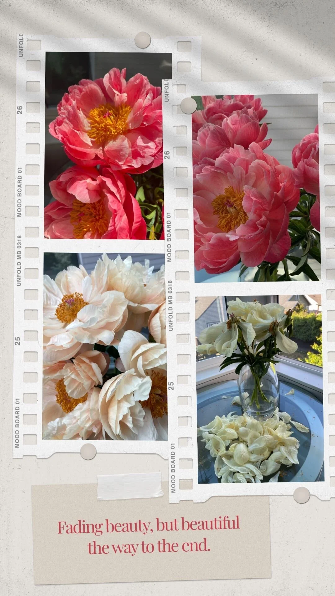 on slowing down for the summer, after a very full spring