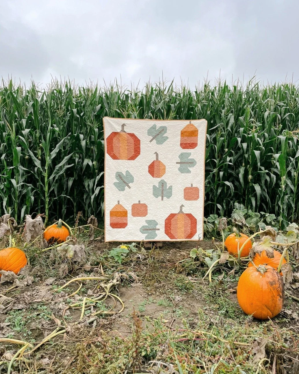 🍂 GIVEAWAY TIME! 🍂

To celebrate the Autumn Equinox, I&rsquo;m giving away a copy of my Pick a Pumpkin quilt pattern! 🎃✨

To enter, just drop a comment and tell me your favorite autumn tradition &mdash; cozy drinks, leaf peeping, spooky movies, pu