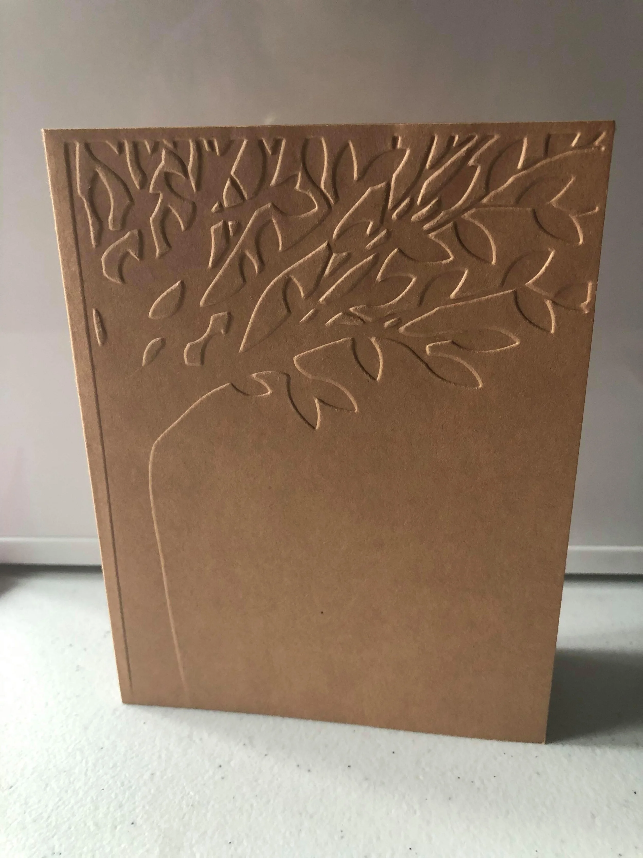 6D7E8D34-81BB-43D4-80A8-93F3CA55127F