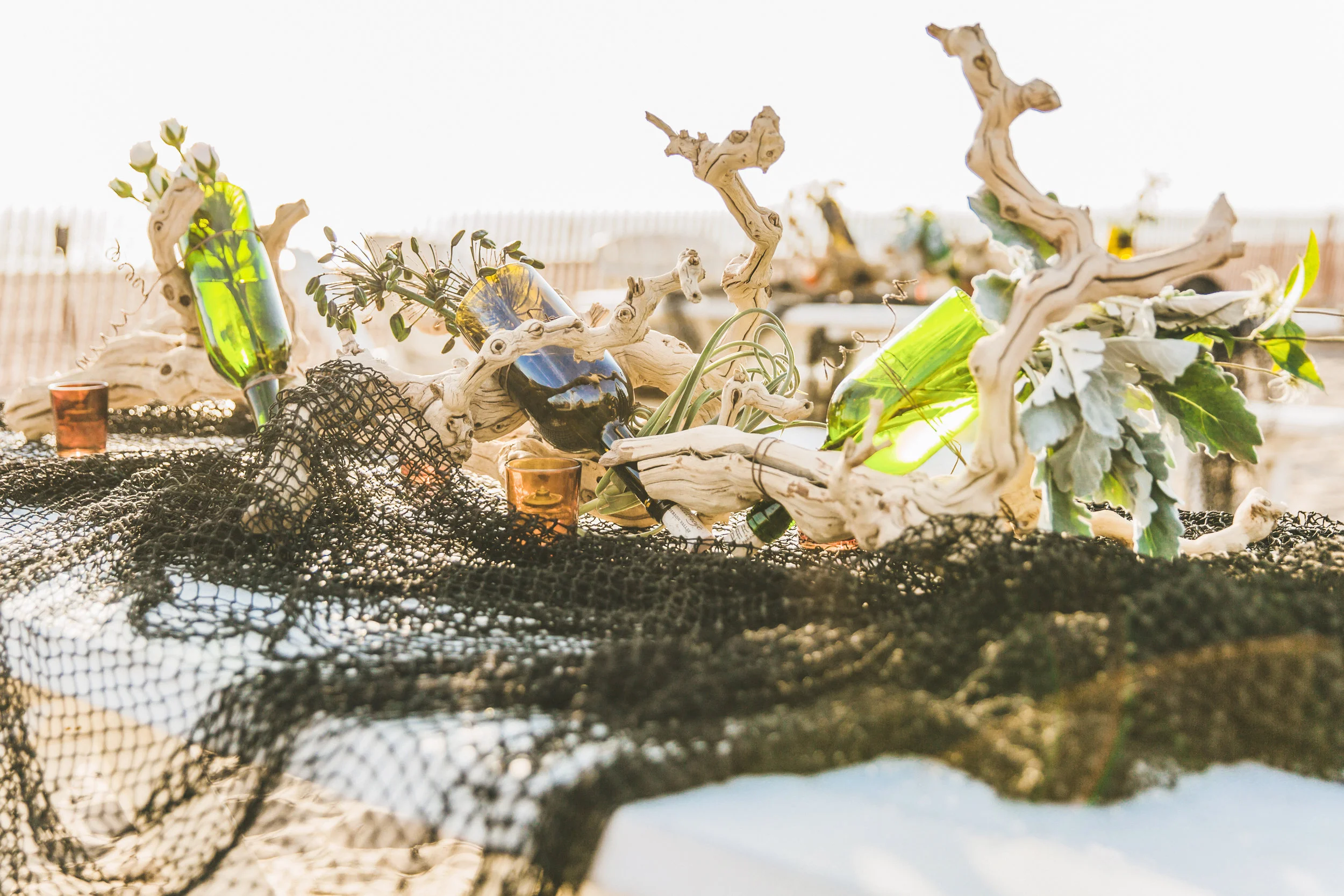 Pacific life 2018-13.jpg