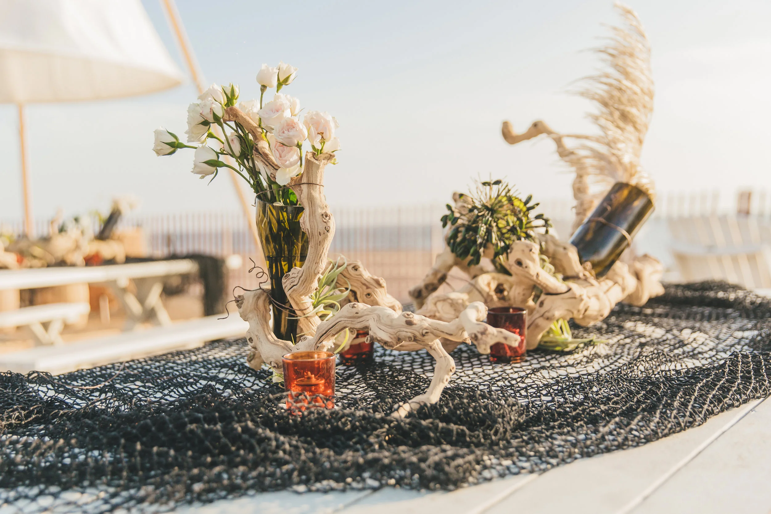 Pacific life 2018-28.jpg
