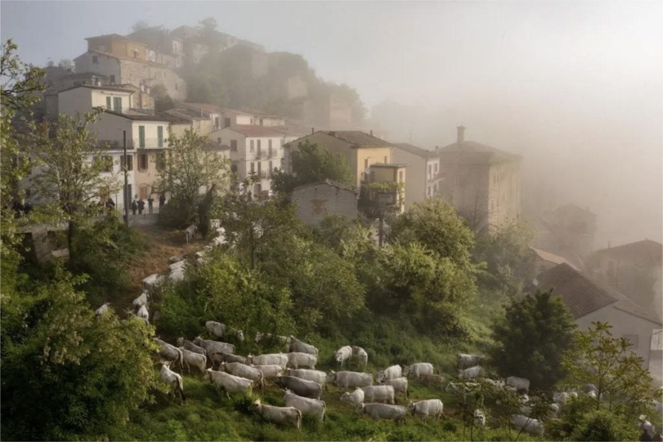 What is a Flourishing Community?