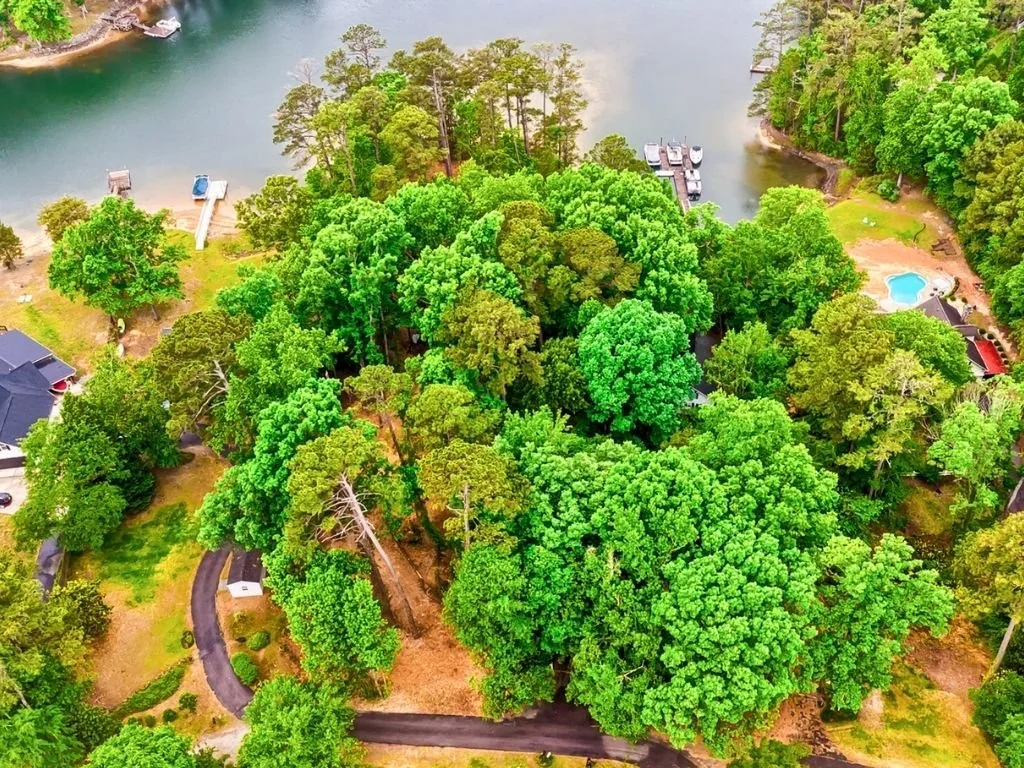 Lake Murray, SC rare lot find
