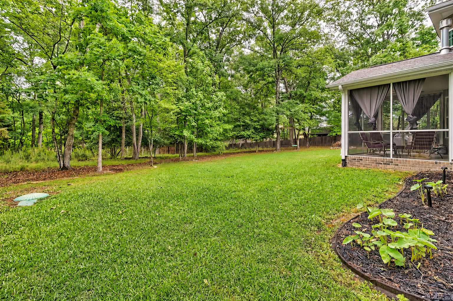 Backyard2.png