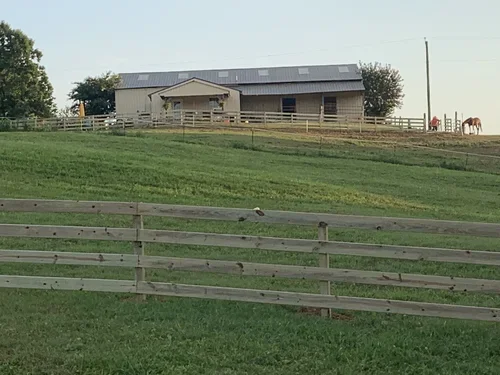 lowerpaddock.webp