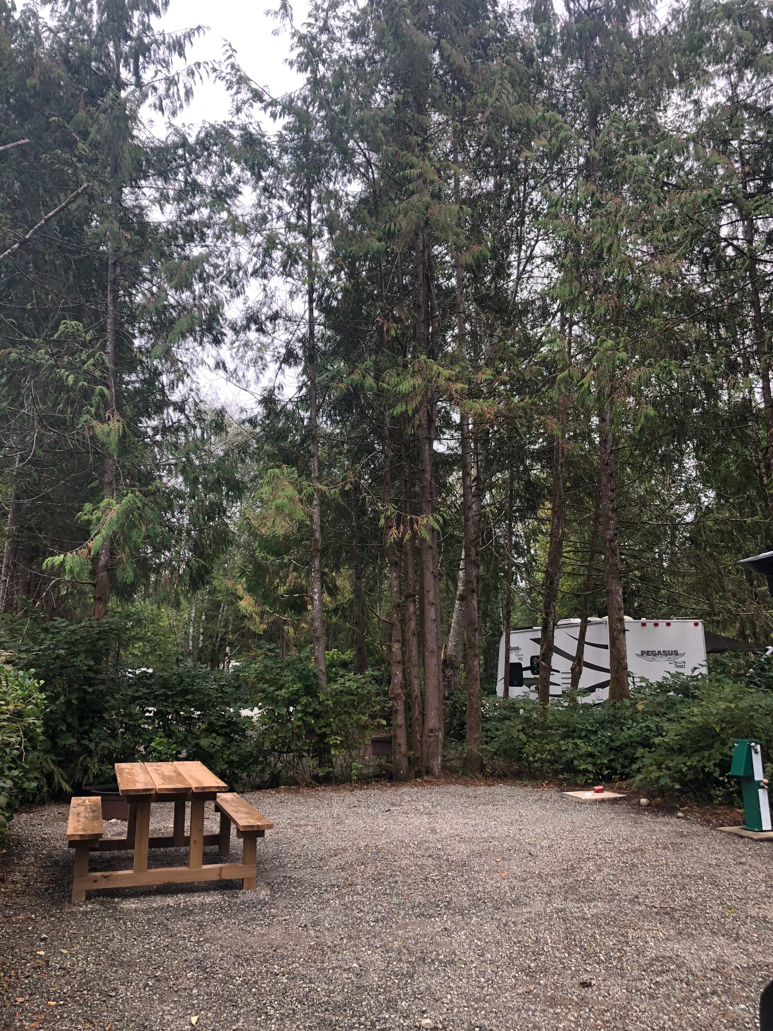 Surf Grove, Cox Bay, Tofino (Copy)