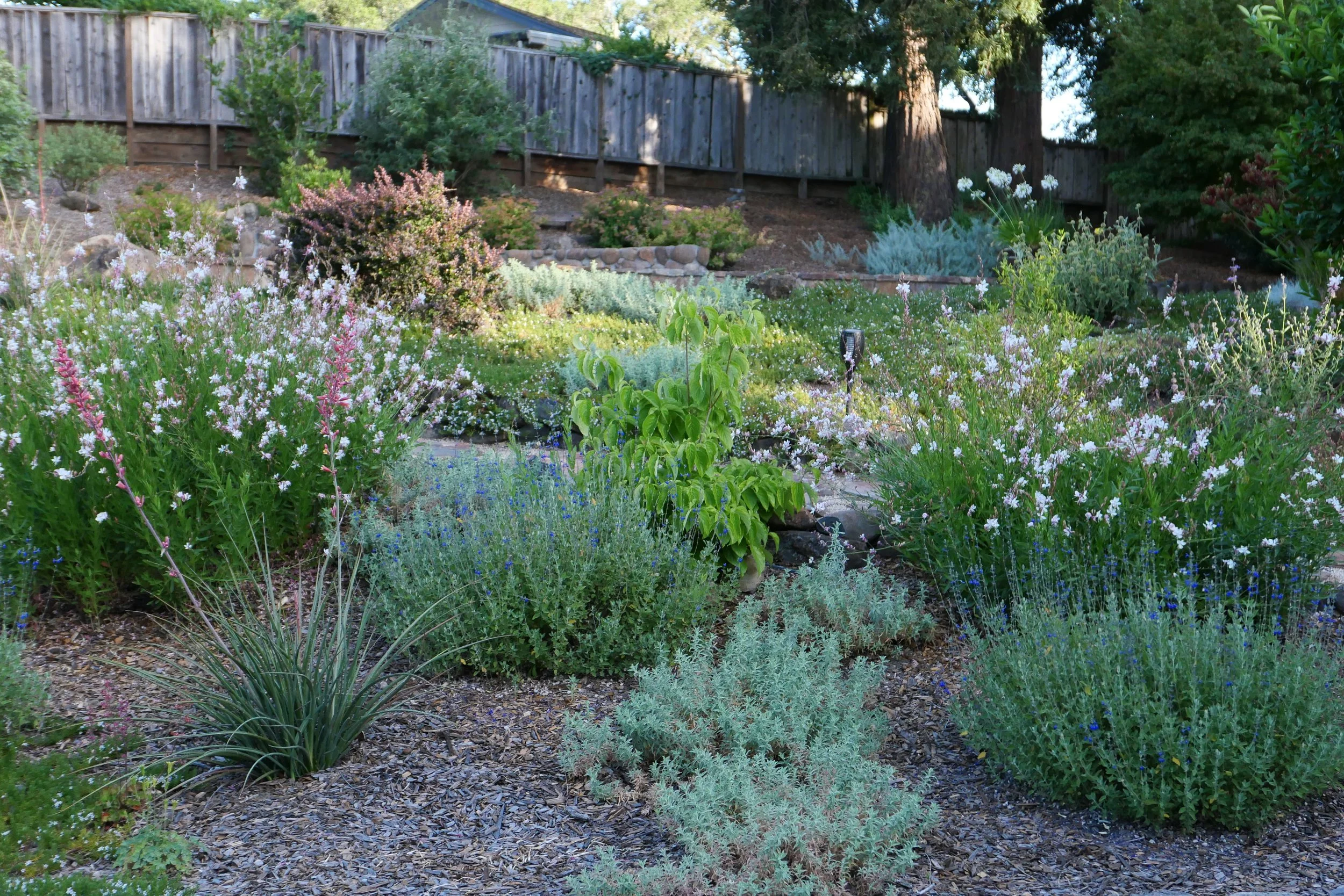 L1000162.JPG
