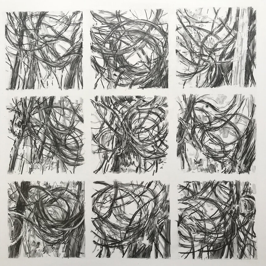Entangled Grid Study, water soluble graphite on yupo, 22x22"