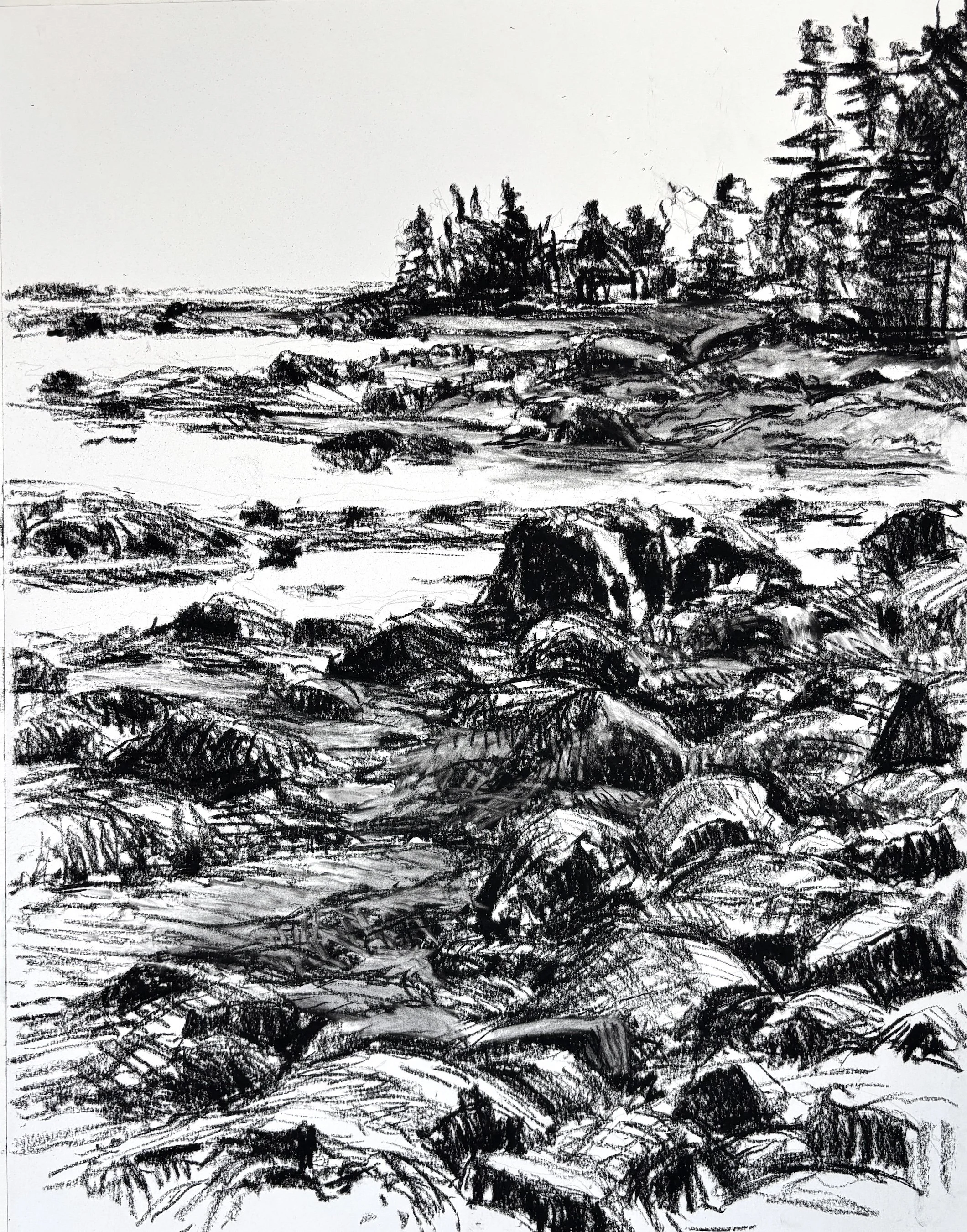"Ocean Gold Low Tide", 30x24, charcoal