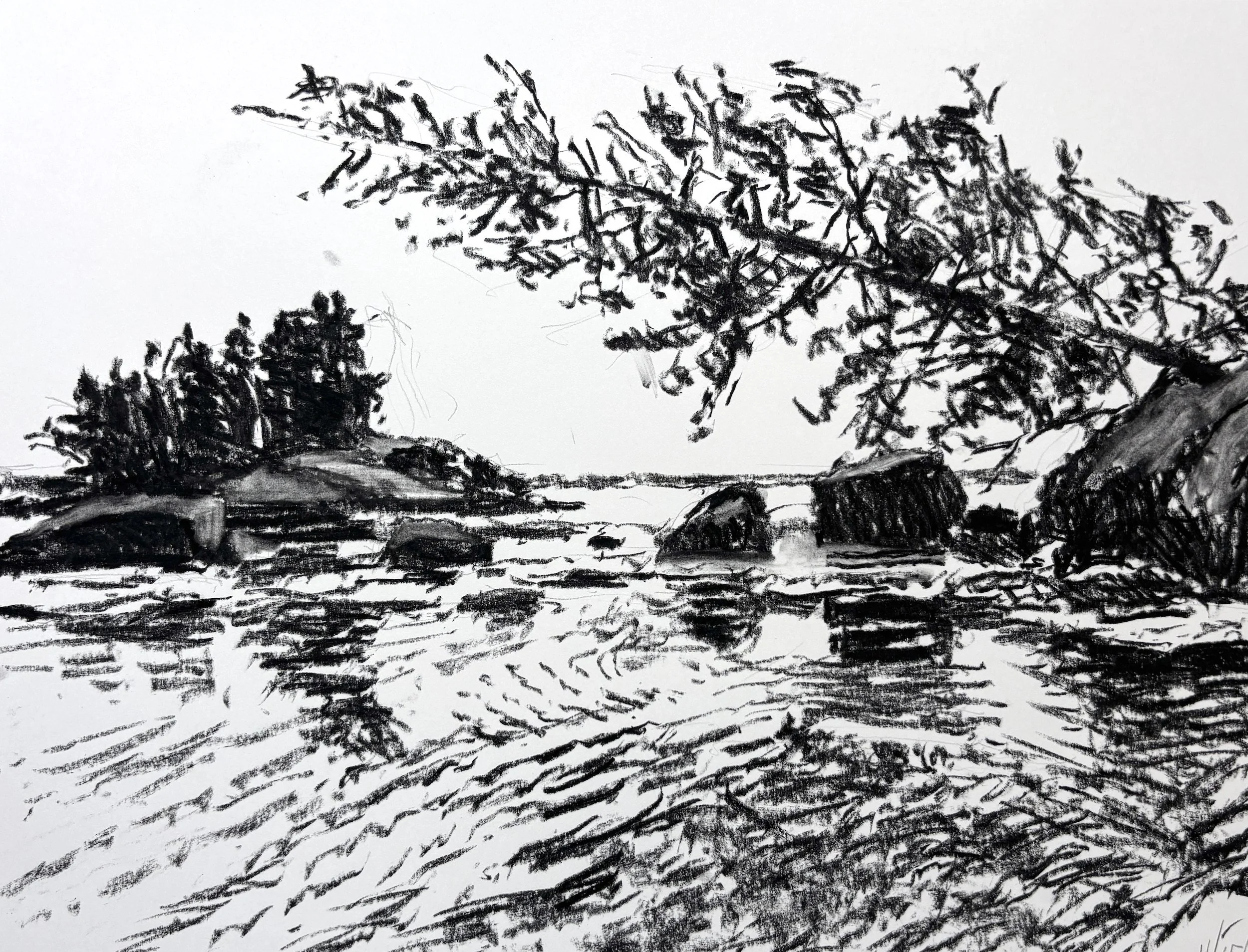 "Suspended Flotsam", 11"x14", charcoal