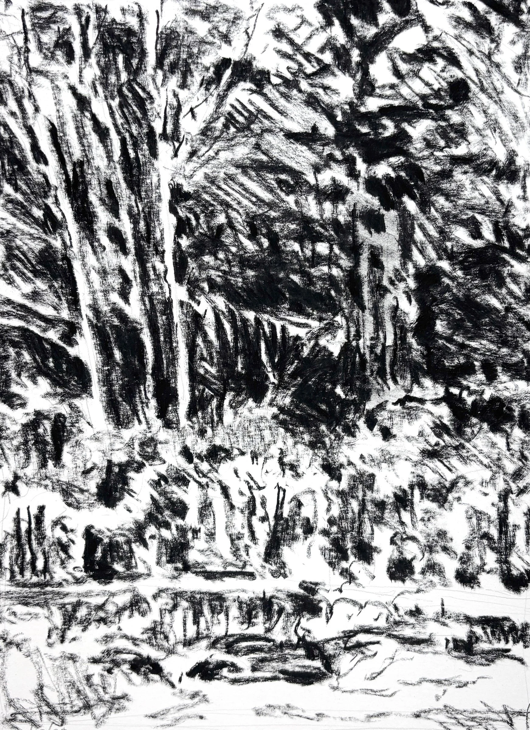 "Edge of the Woods", 14"x11", charcoal