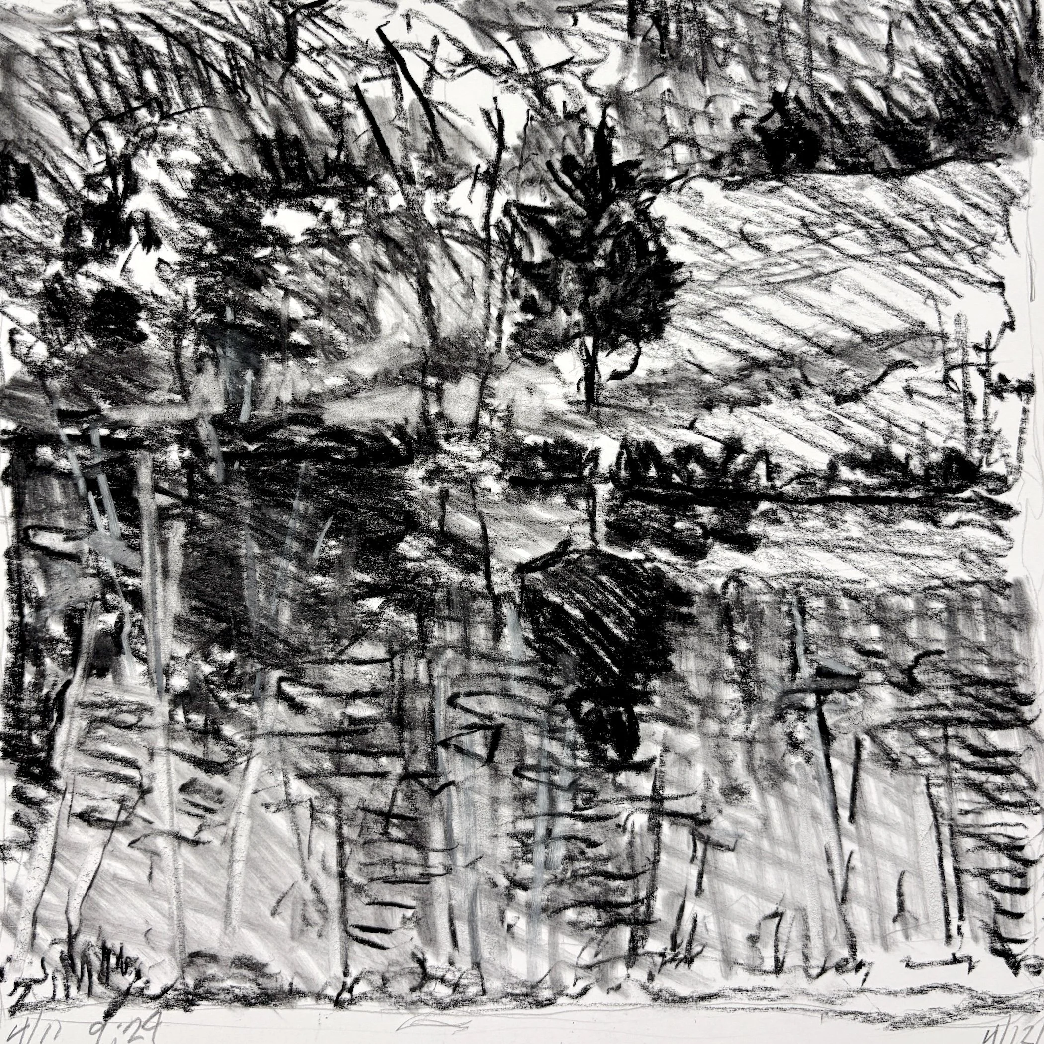 "Spring Pond Study", 9"x9", charcoal