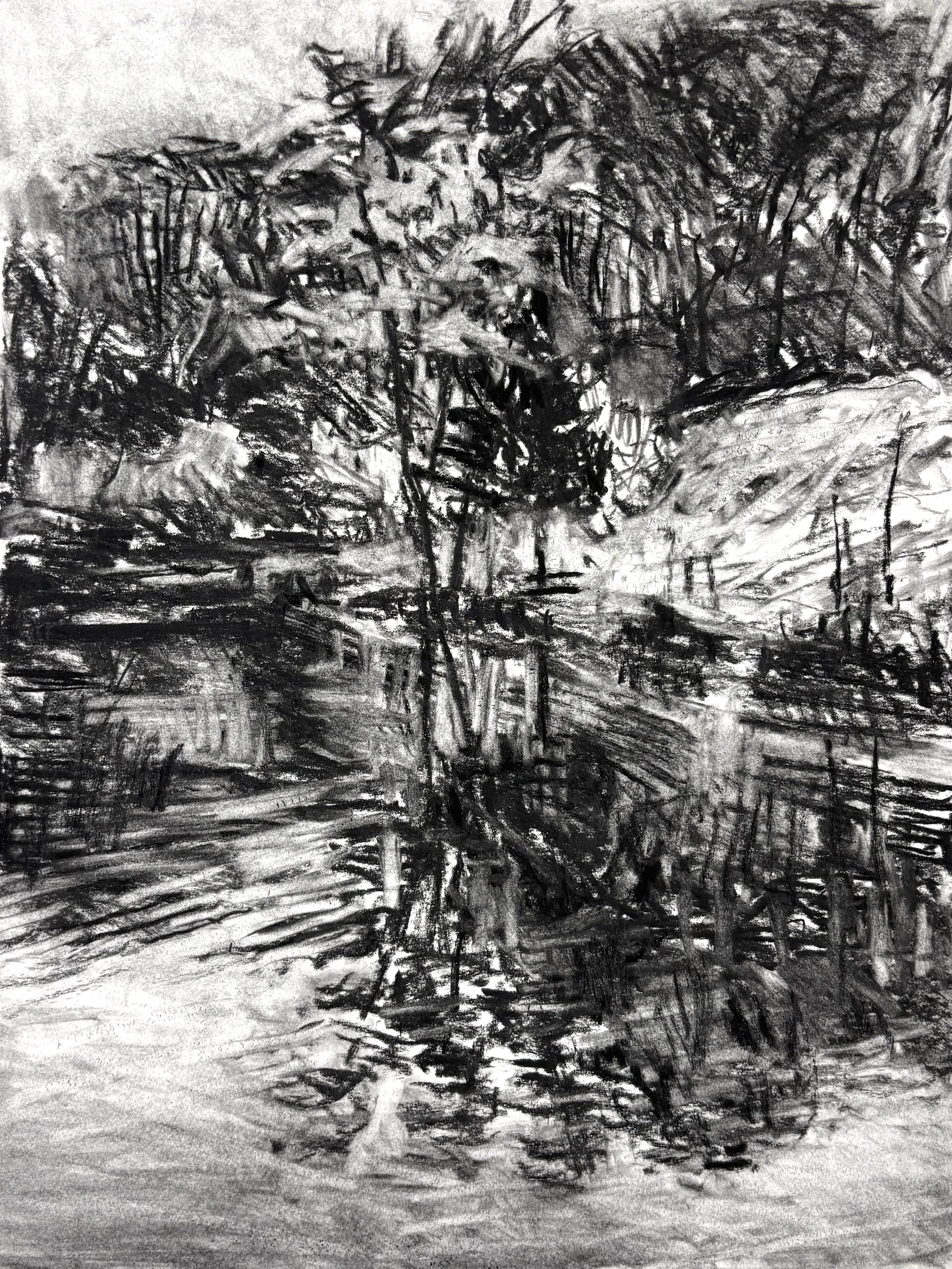 "Spring Pond Study 3", 14"x11", charcoal