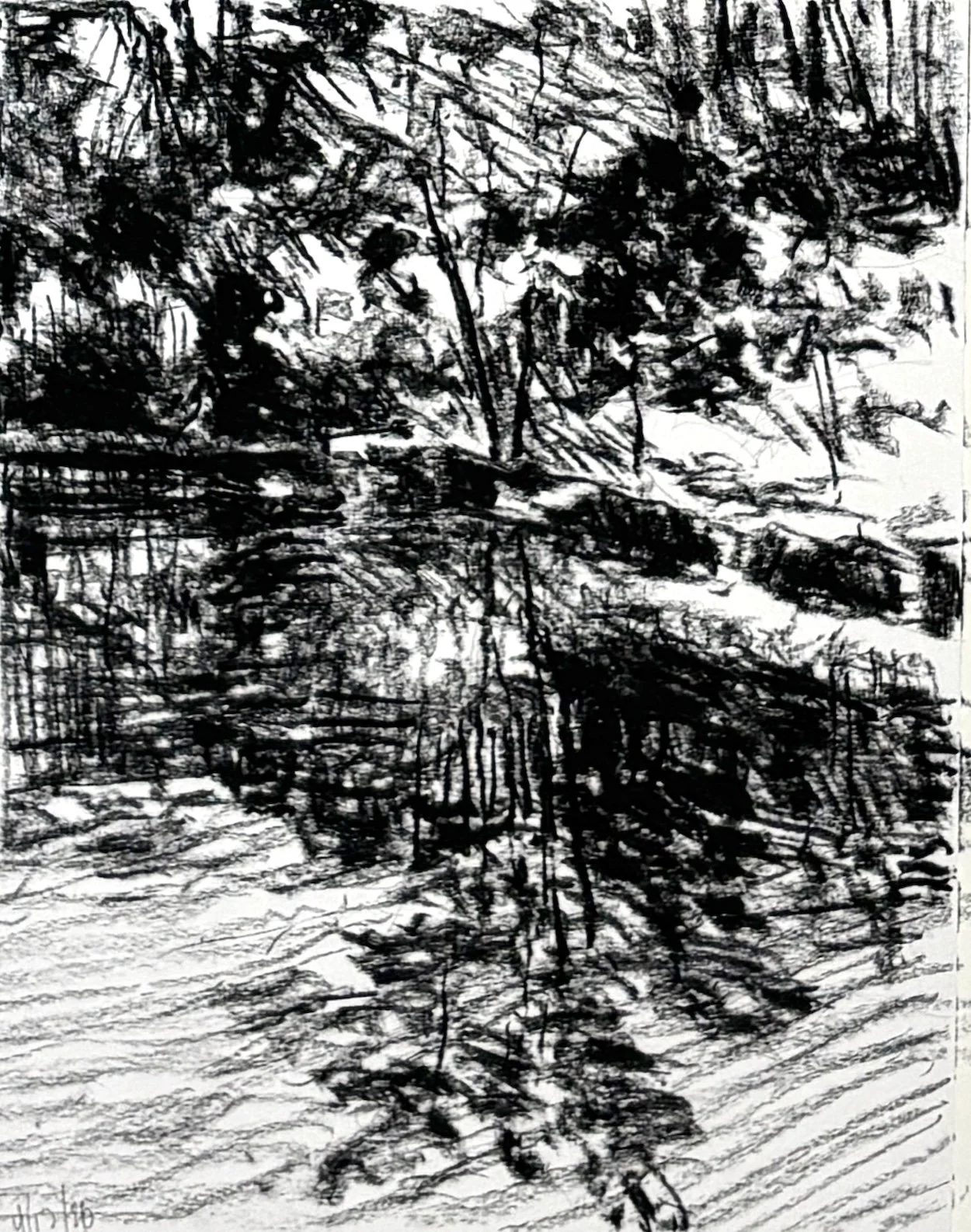 "Spring Pond Study 4", 12"x9", charcoal