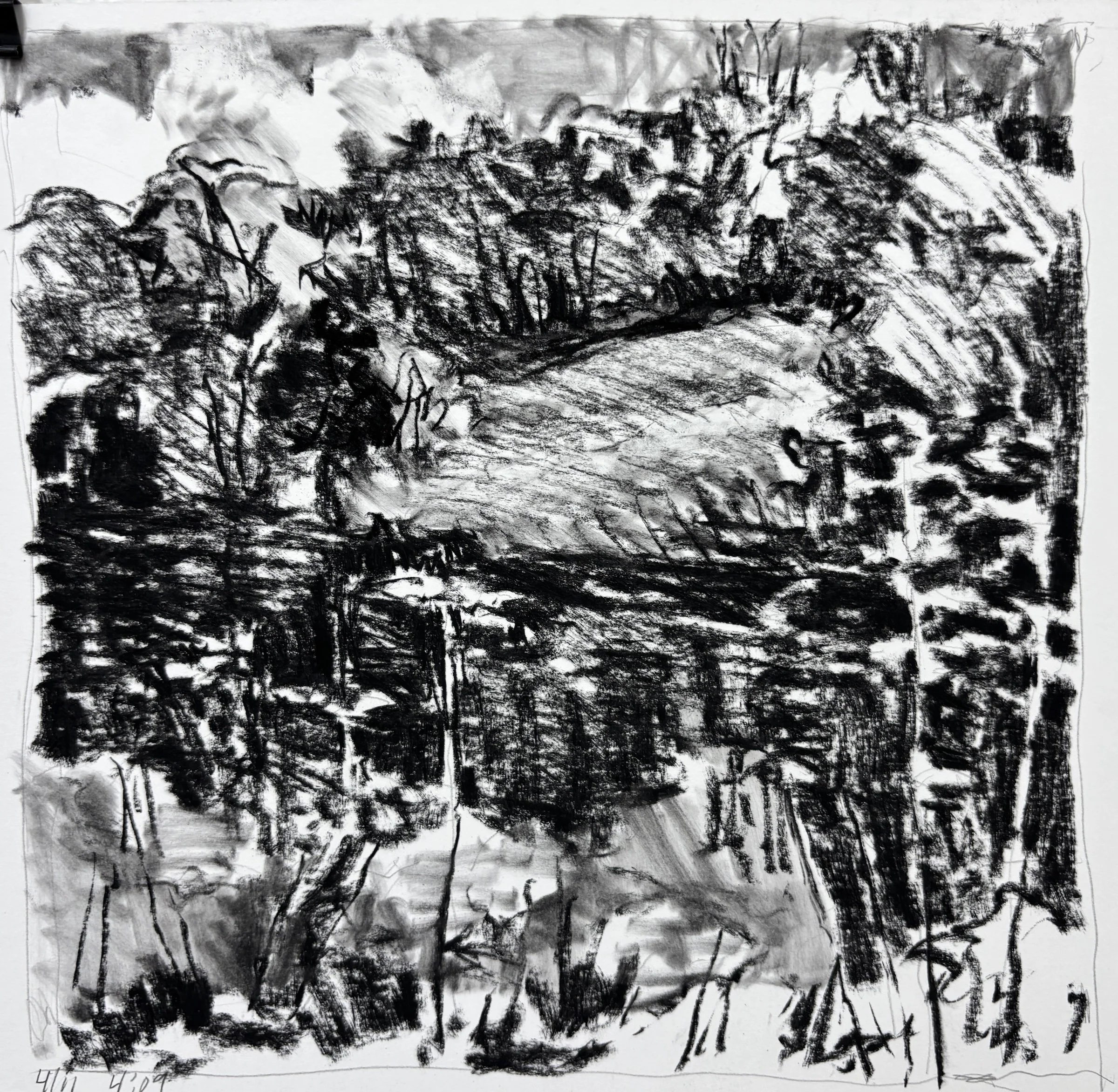 "Spring Pond Study 1", 10"x10", charcoal