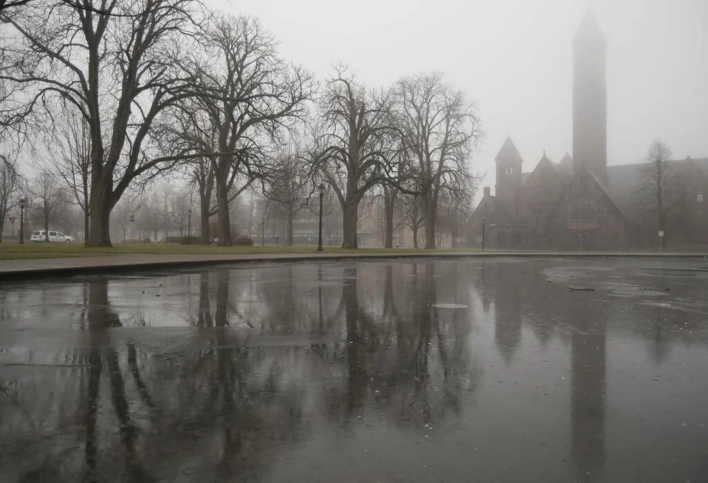 Fog.jpg