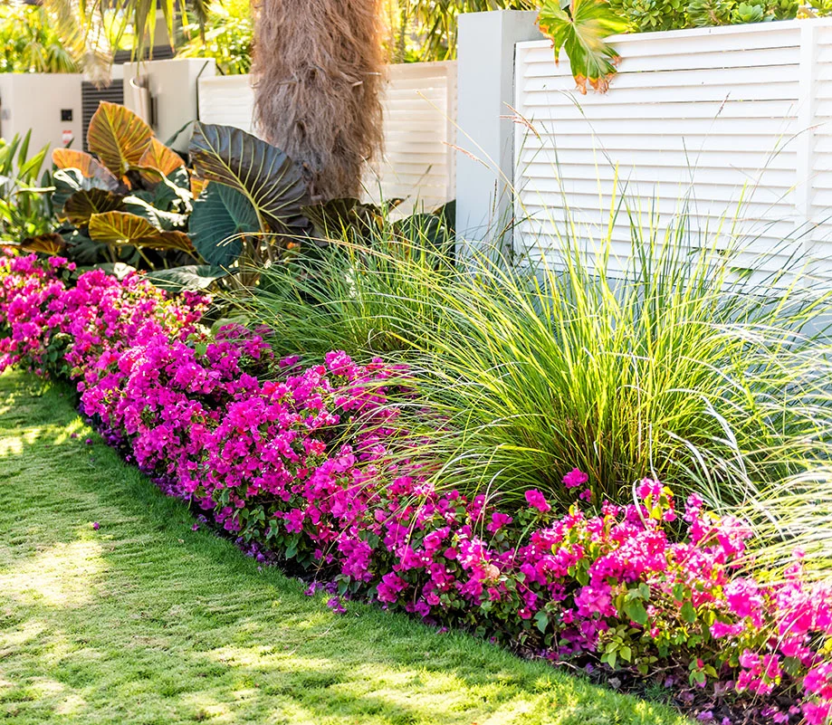 Professional Landscaping in Southhaven Mississippi