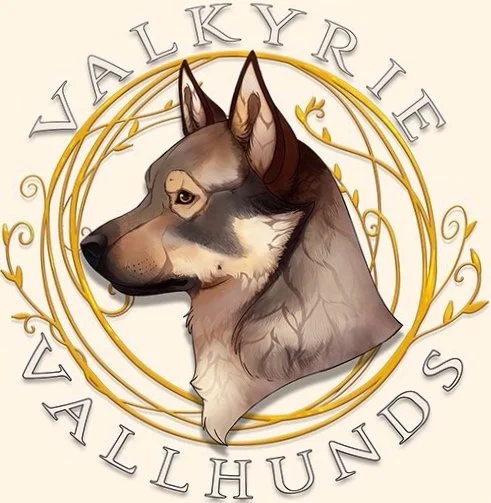 ValkyrieVallhunds_wBG_Large.jpg