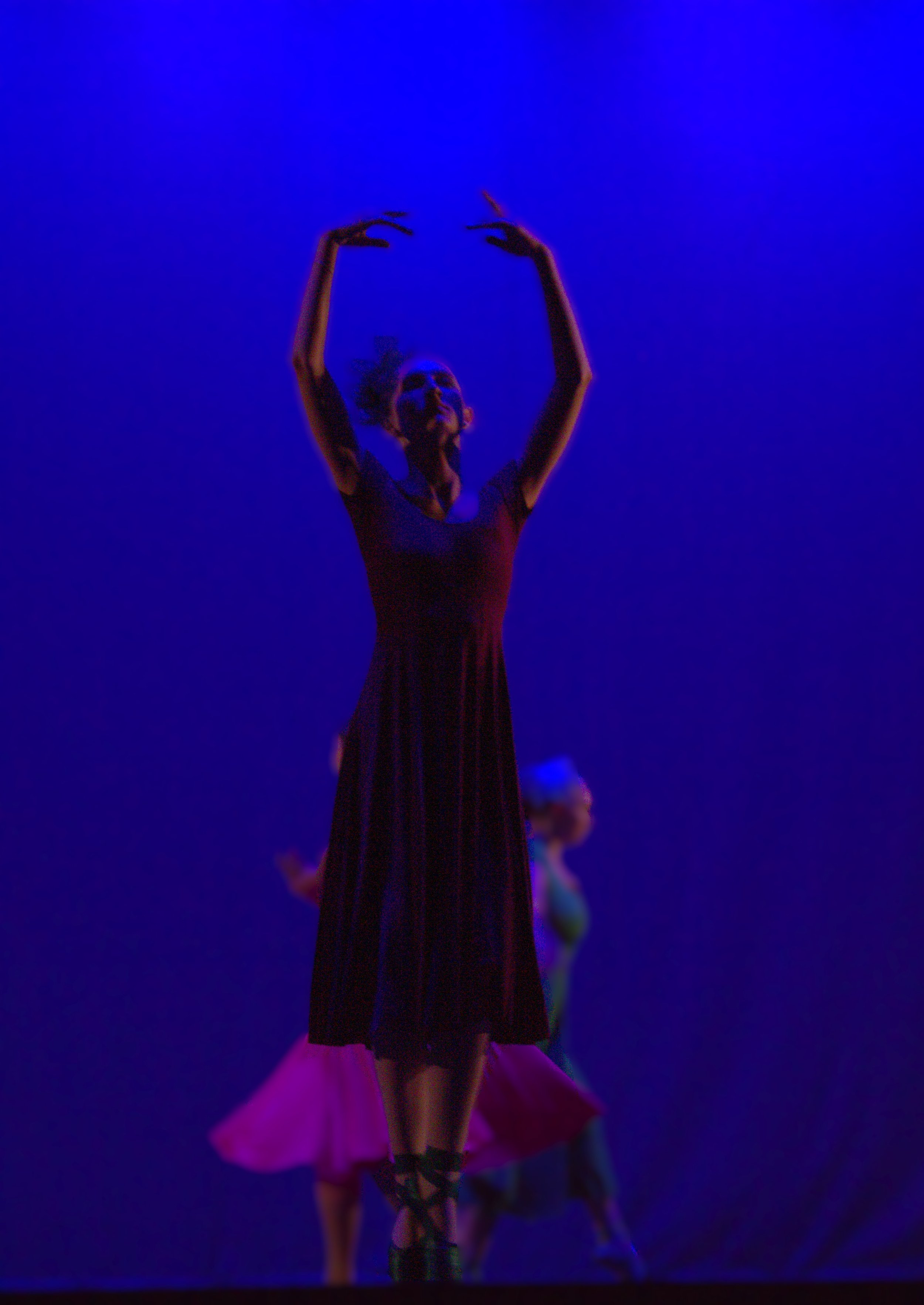 IMG_5936.jpg
