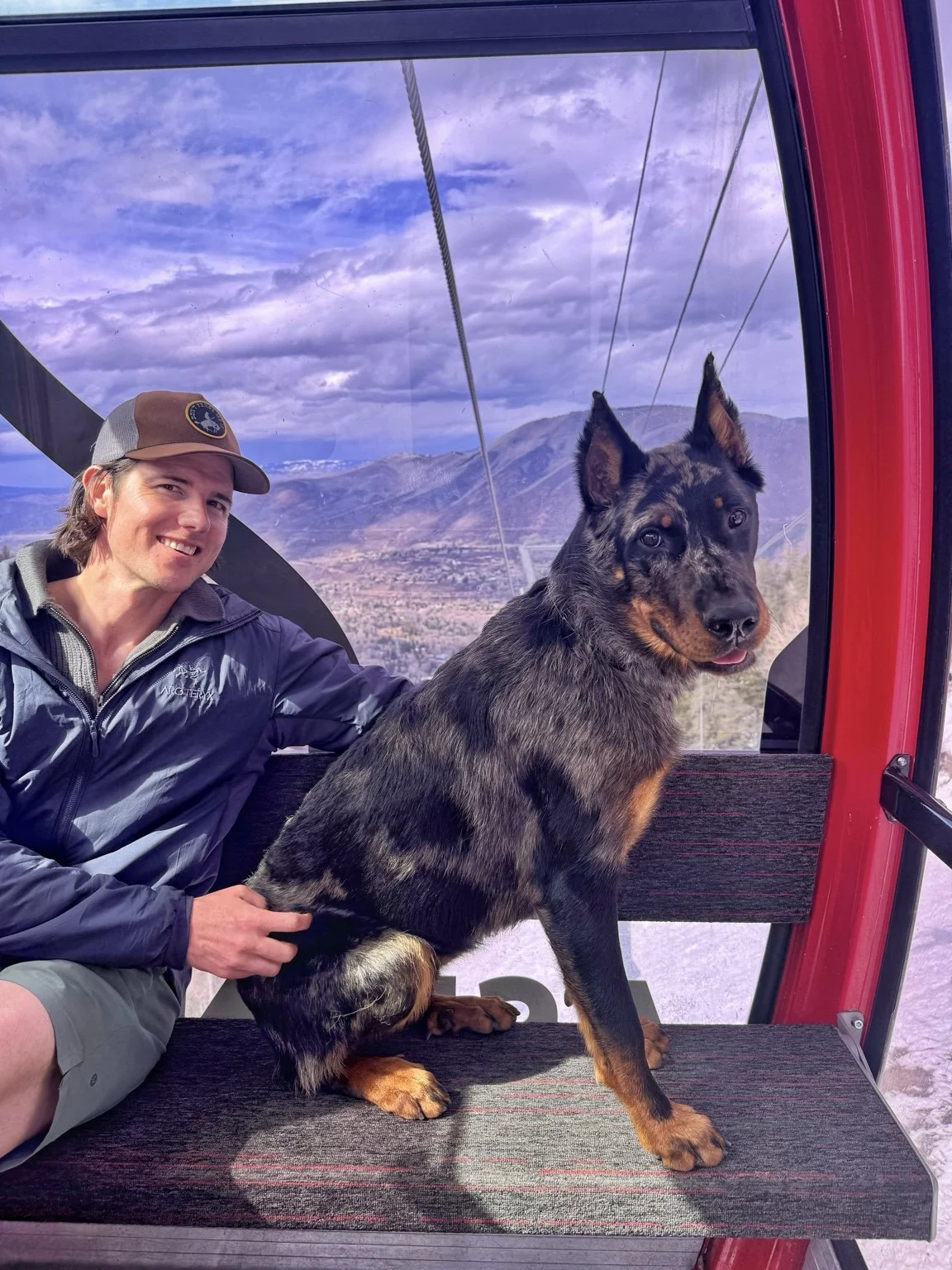 An owner and Beauceron ride a gondola above a mountain valley.