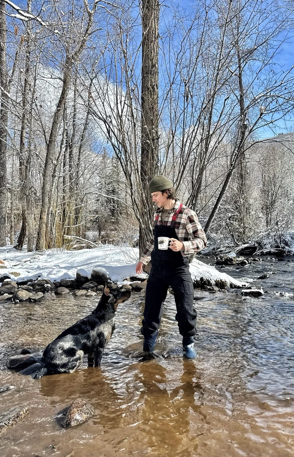 An owner holding a mug stands with a Beauceron in a shallow snowy creek.