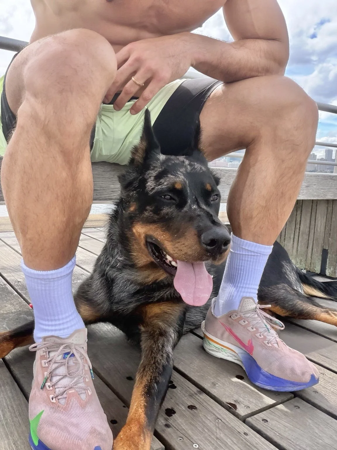 A Beauceron sits close to an owner resting outdoors.