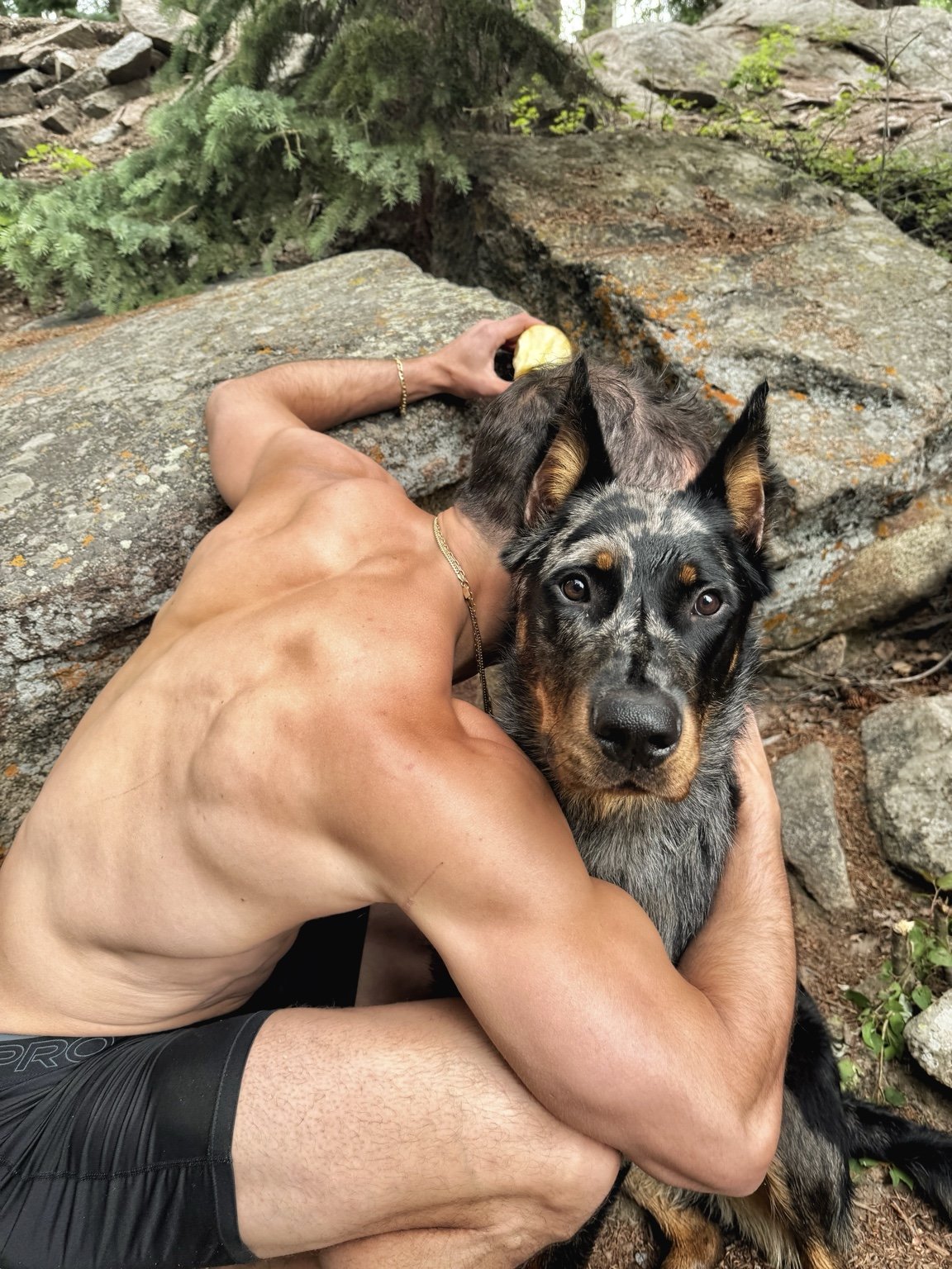 An owner embraces a harlequin Beauceron among rocks and trees.