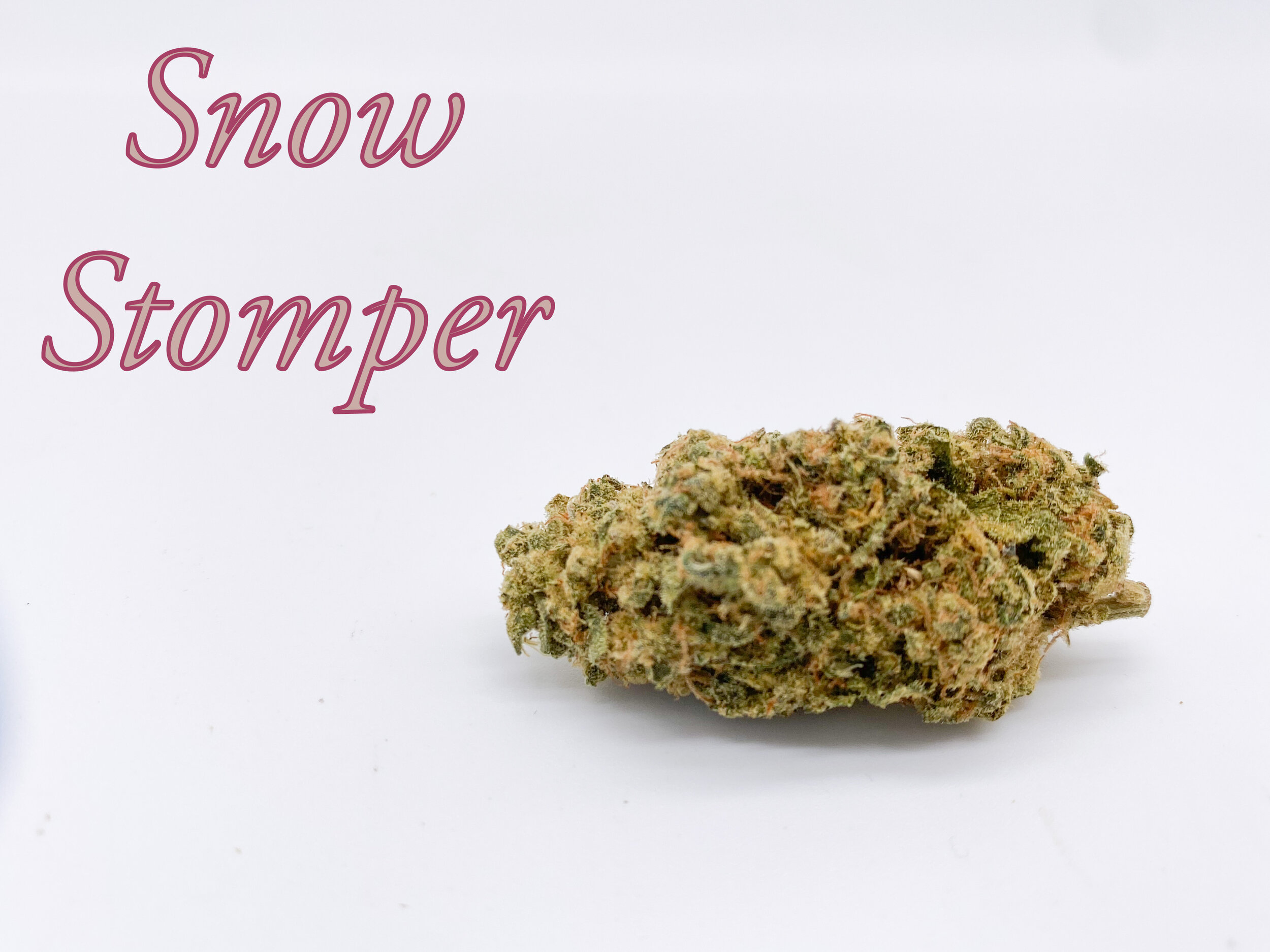 Snow Stomper.JPEG