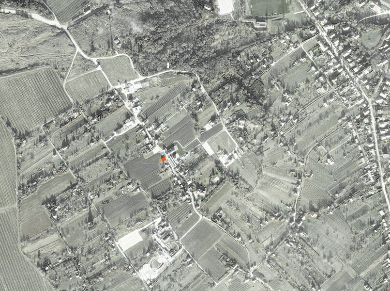 etyek_orto_900.jpg