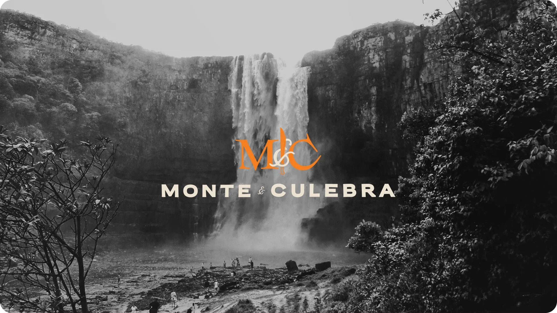 How this works-2.jpg