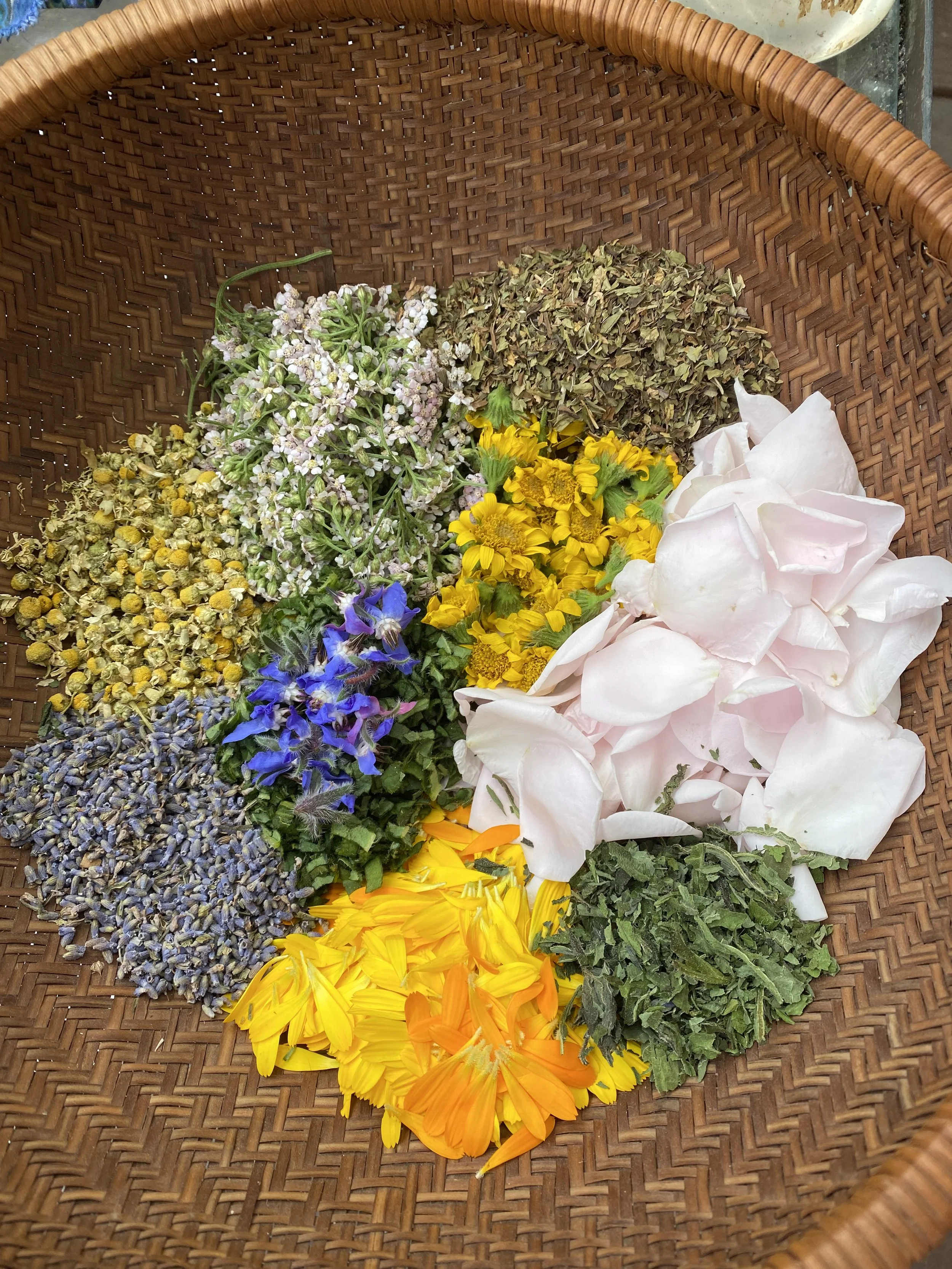 COMPLETE! Summer in the Garden Herbal Series  June 28th & August 16th, 2025