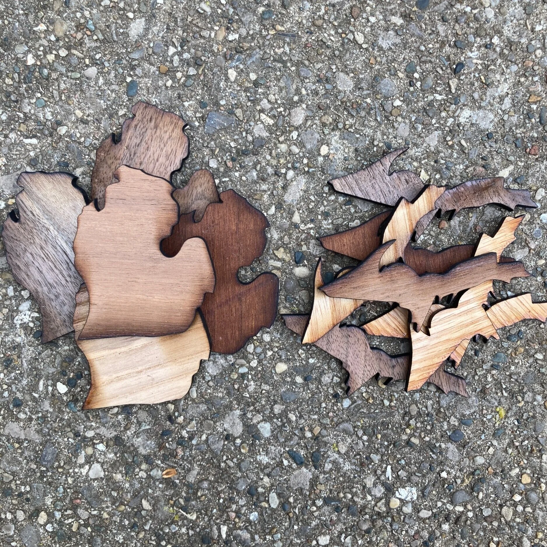 CAD5879C-453D-453F-B228-E7A26CB74980