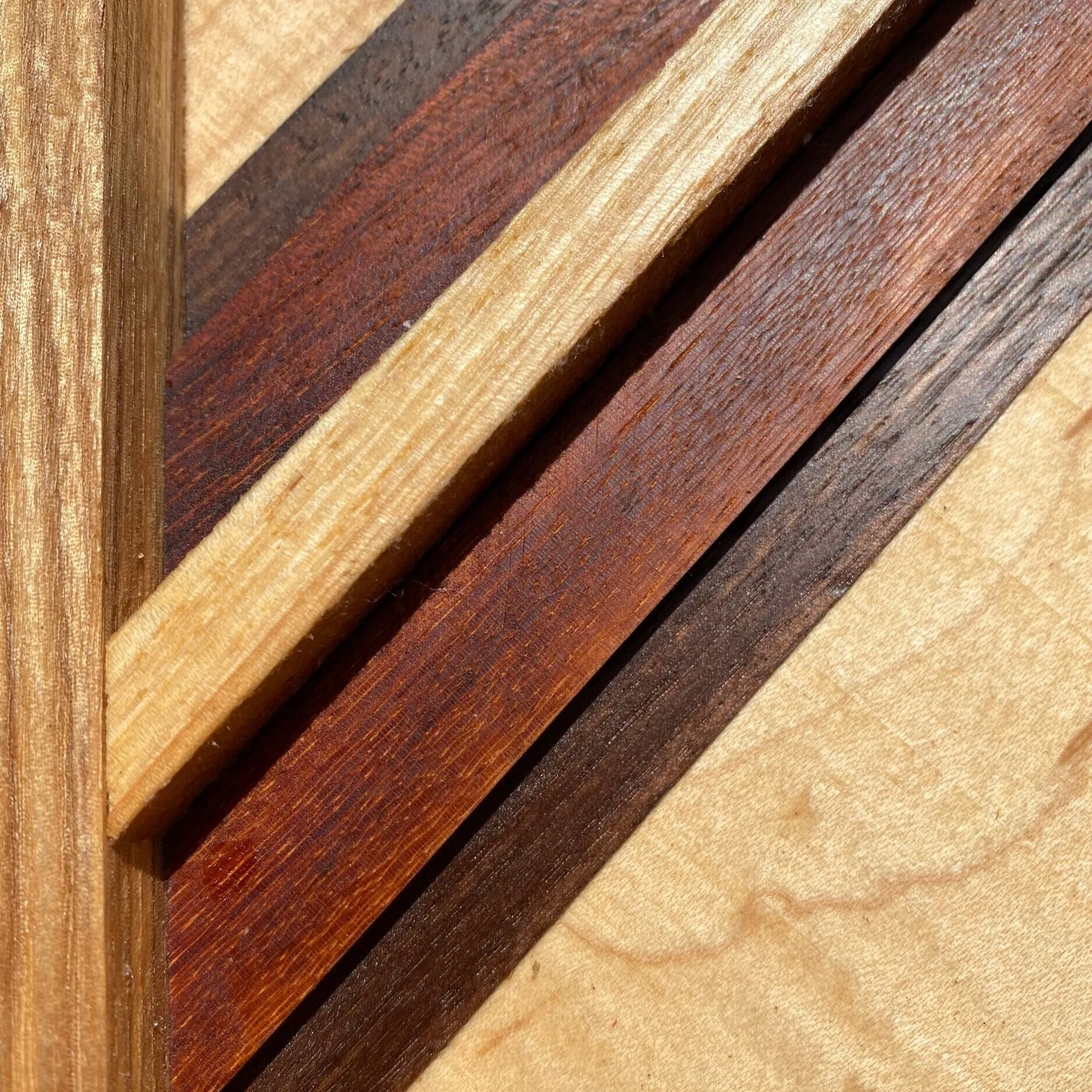 D5D154DC-FD37-4CC8-950F-7FEBC49182D8