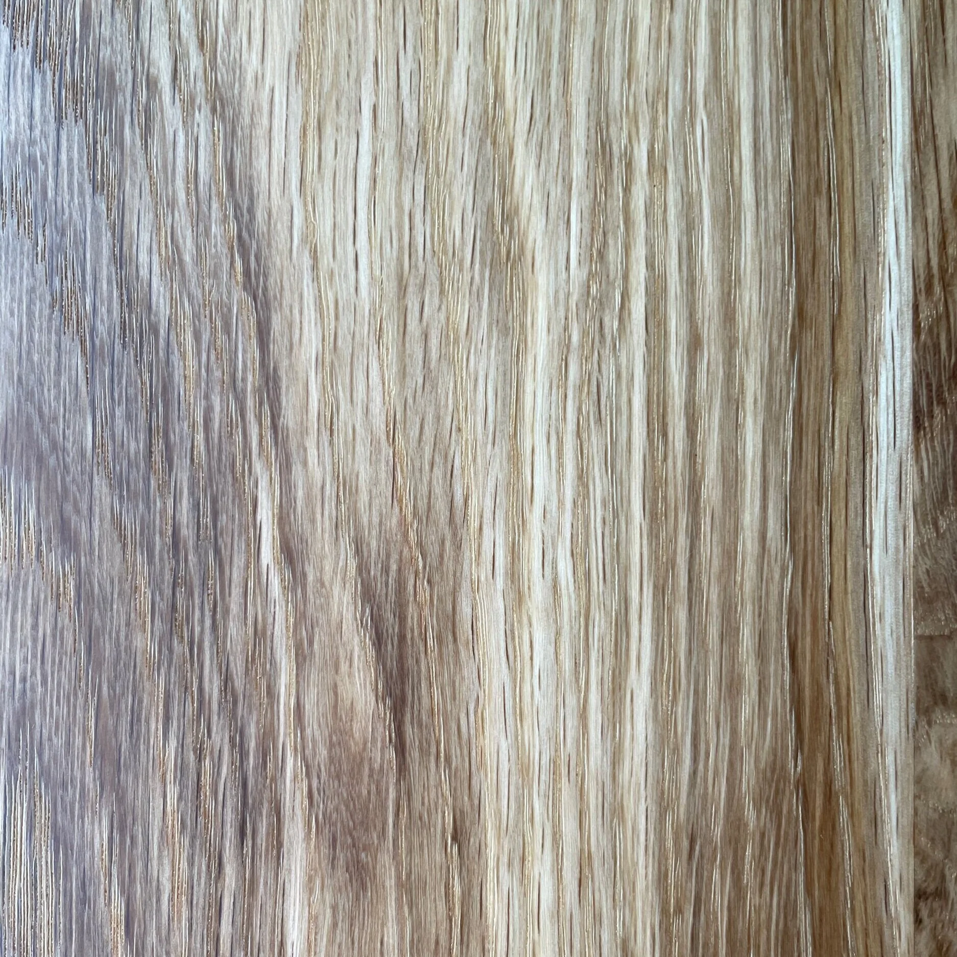 912B5277-7C54-47C3-9455-373336DA8E29