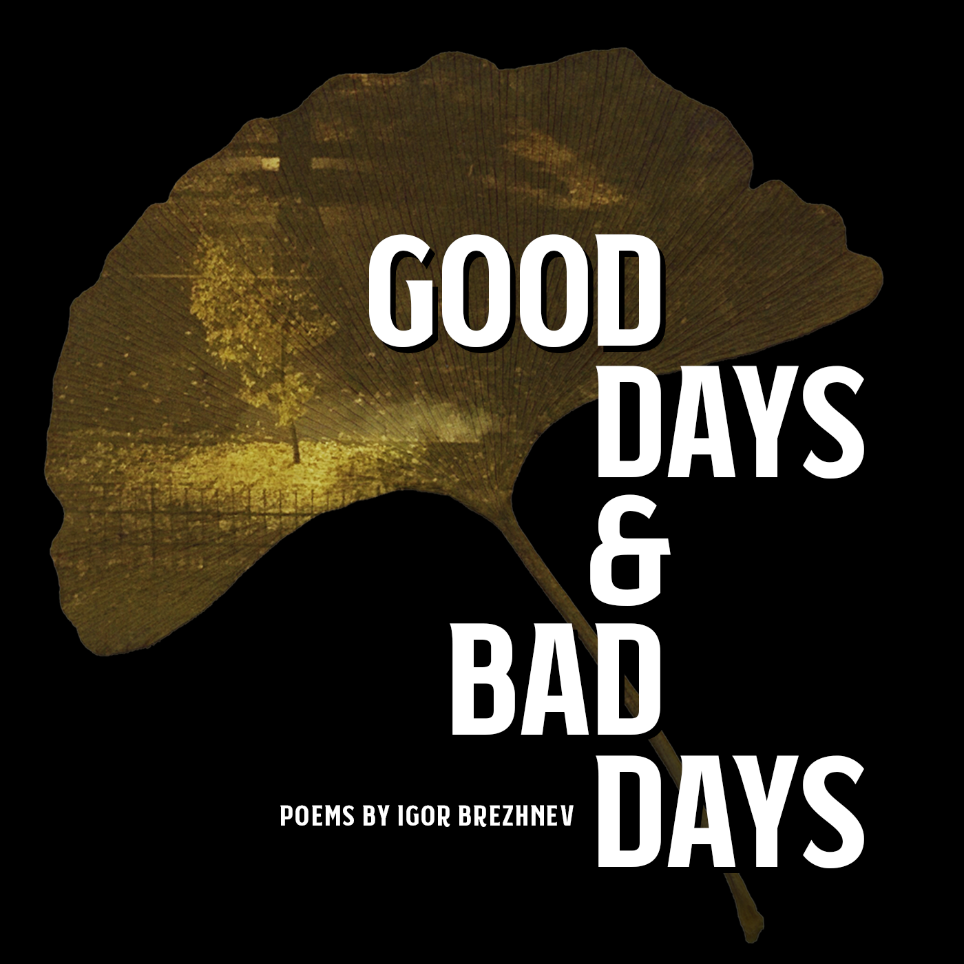 good-days-and-bad-days-cover.png