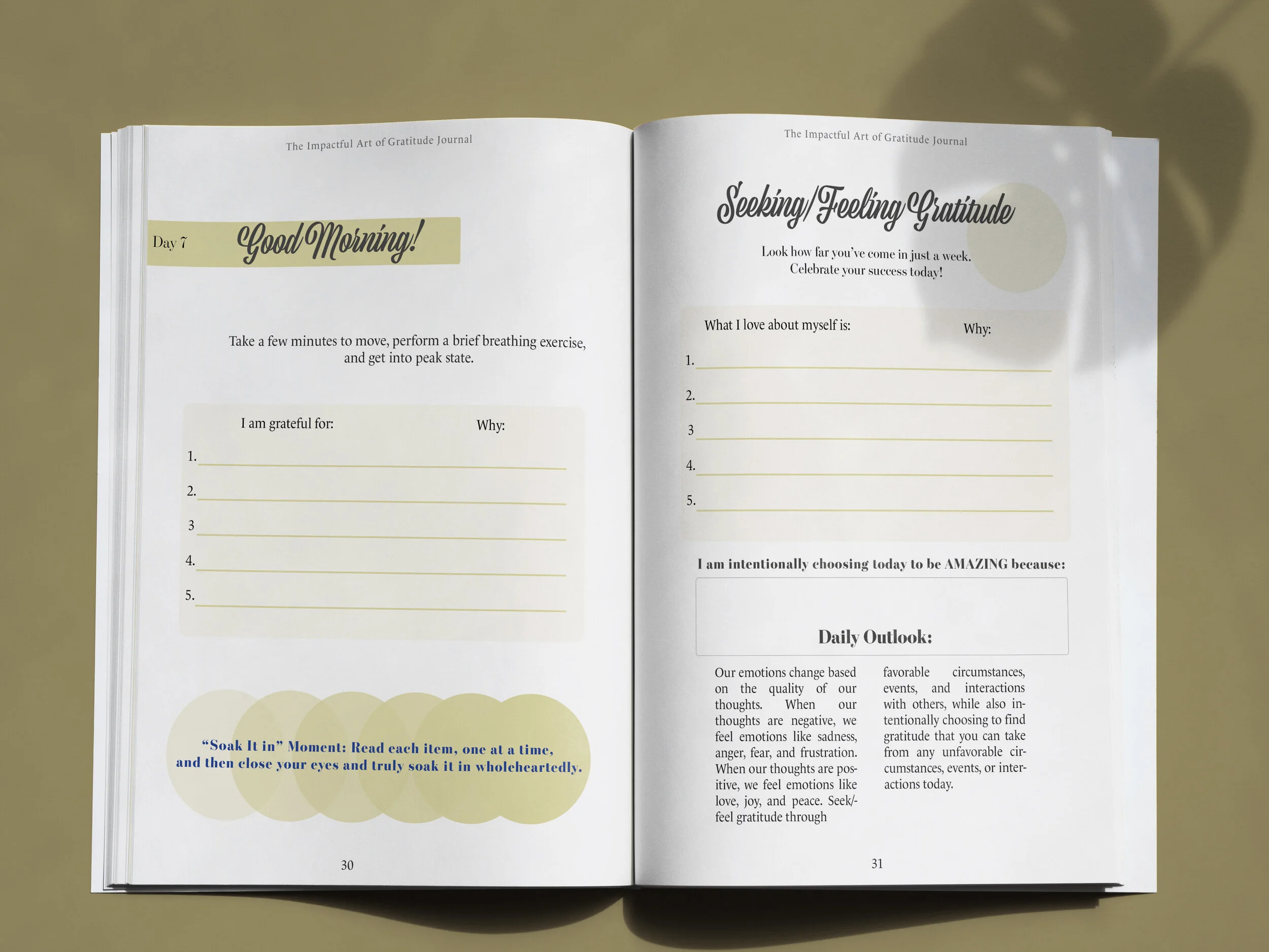 Interior Book Designs — Covers by Violet