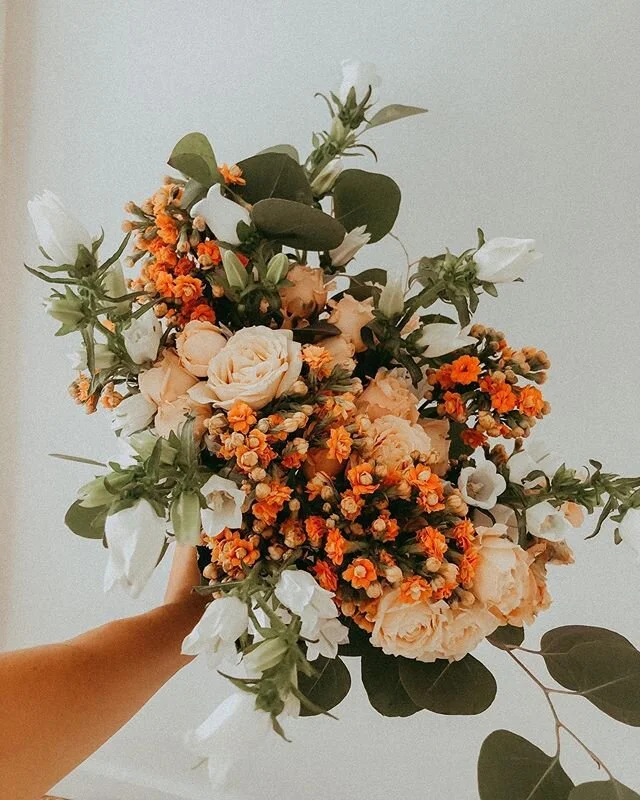 came home to these beauties today 😭✨ I love you @javmilian