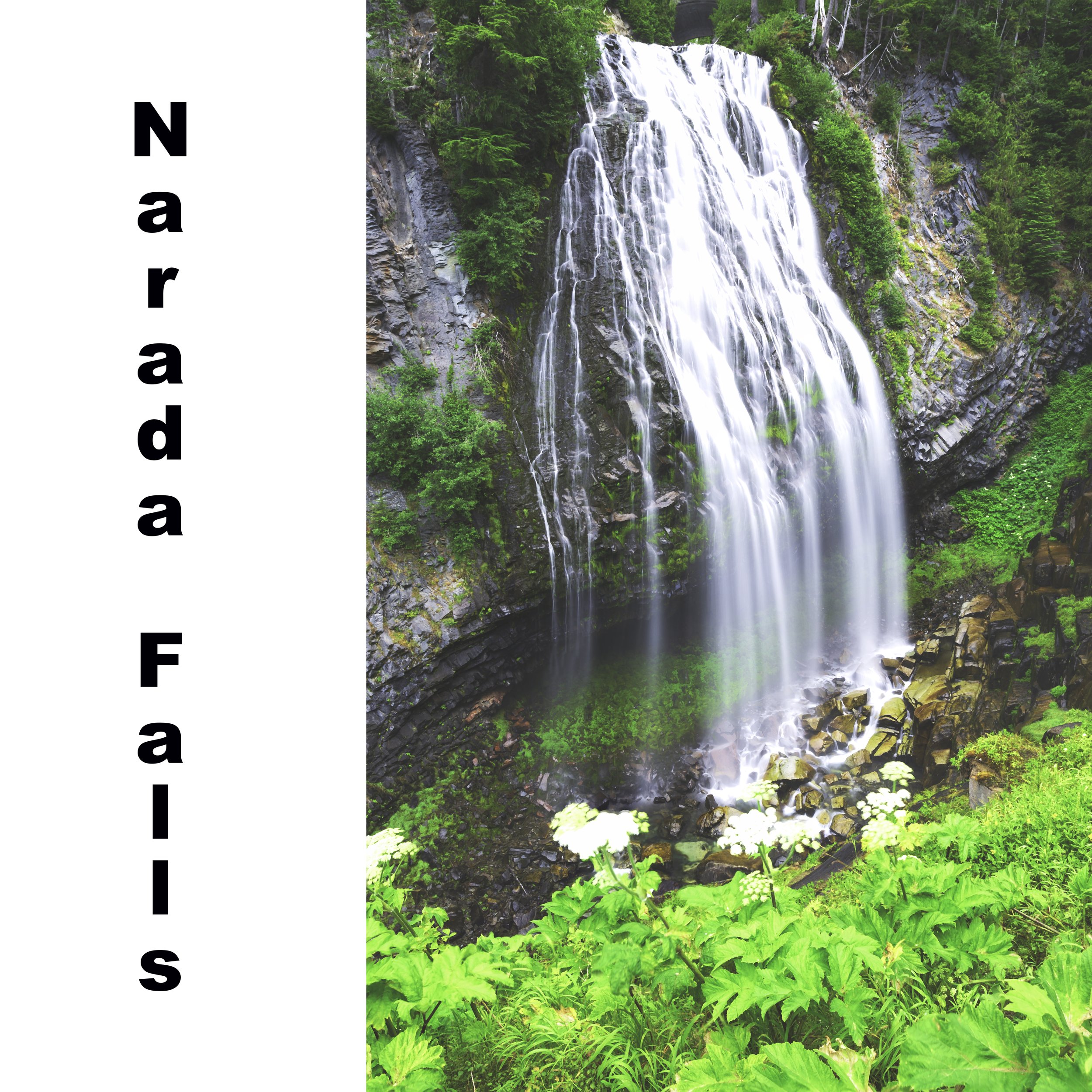 Narada Falls Instagram.jpg