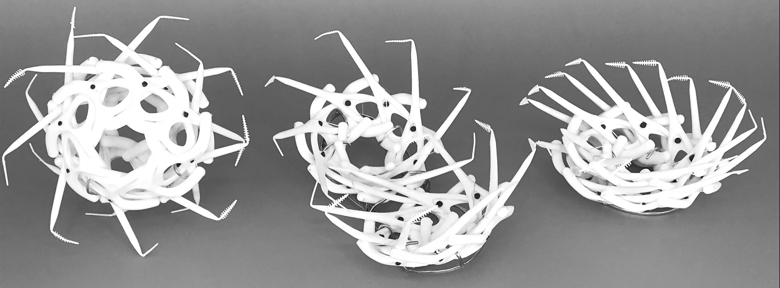 Zirnheld_Flosser_TriDEtail.jpg