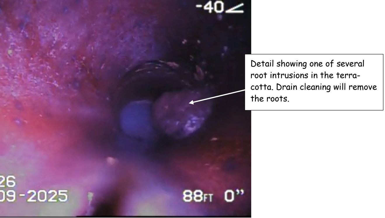 Image 2-26-26 at 10.29 AM.png